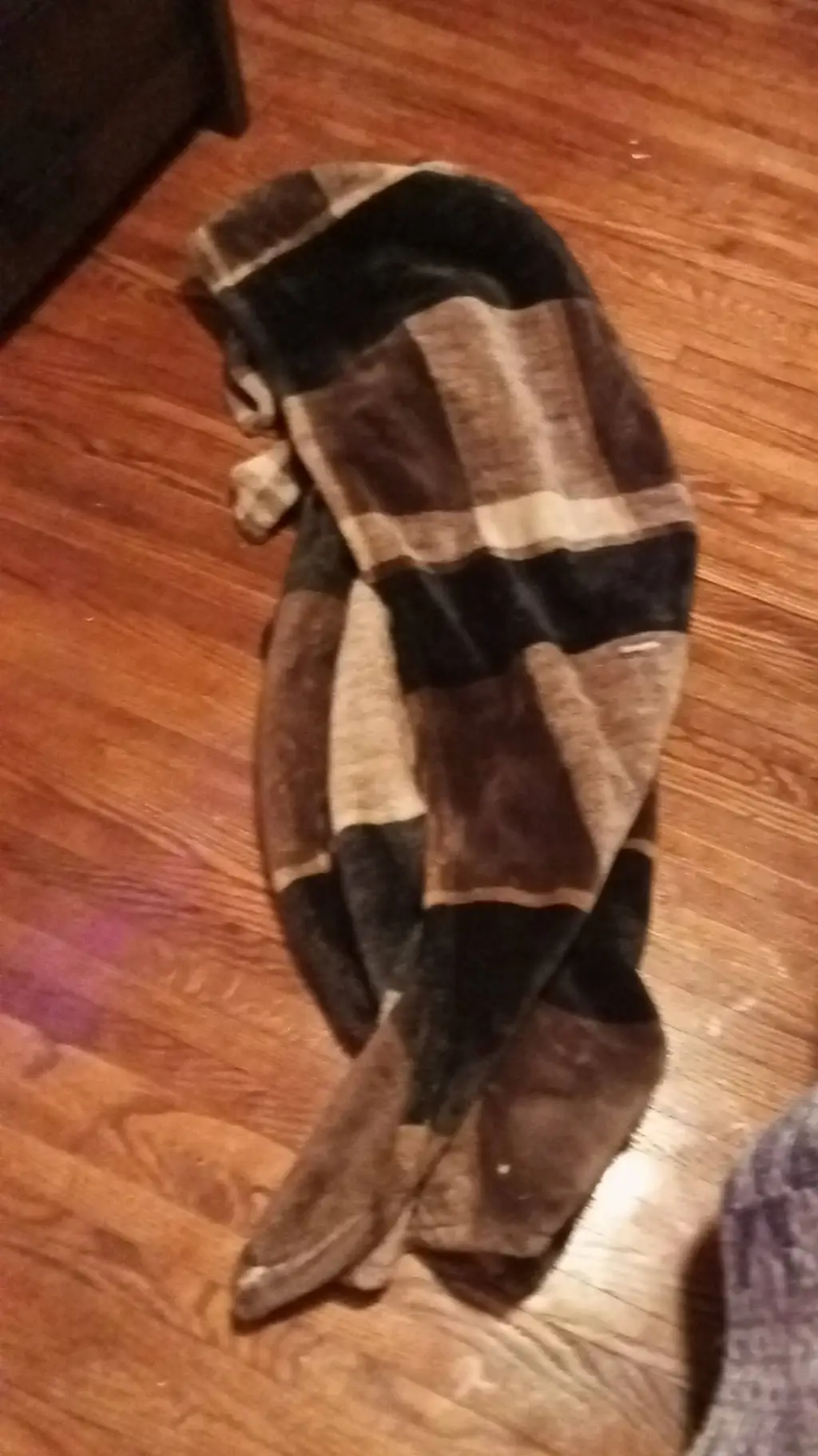 ai character: furry blanket 2 background