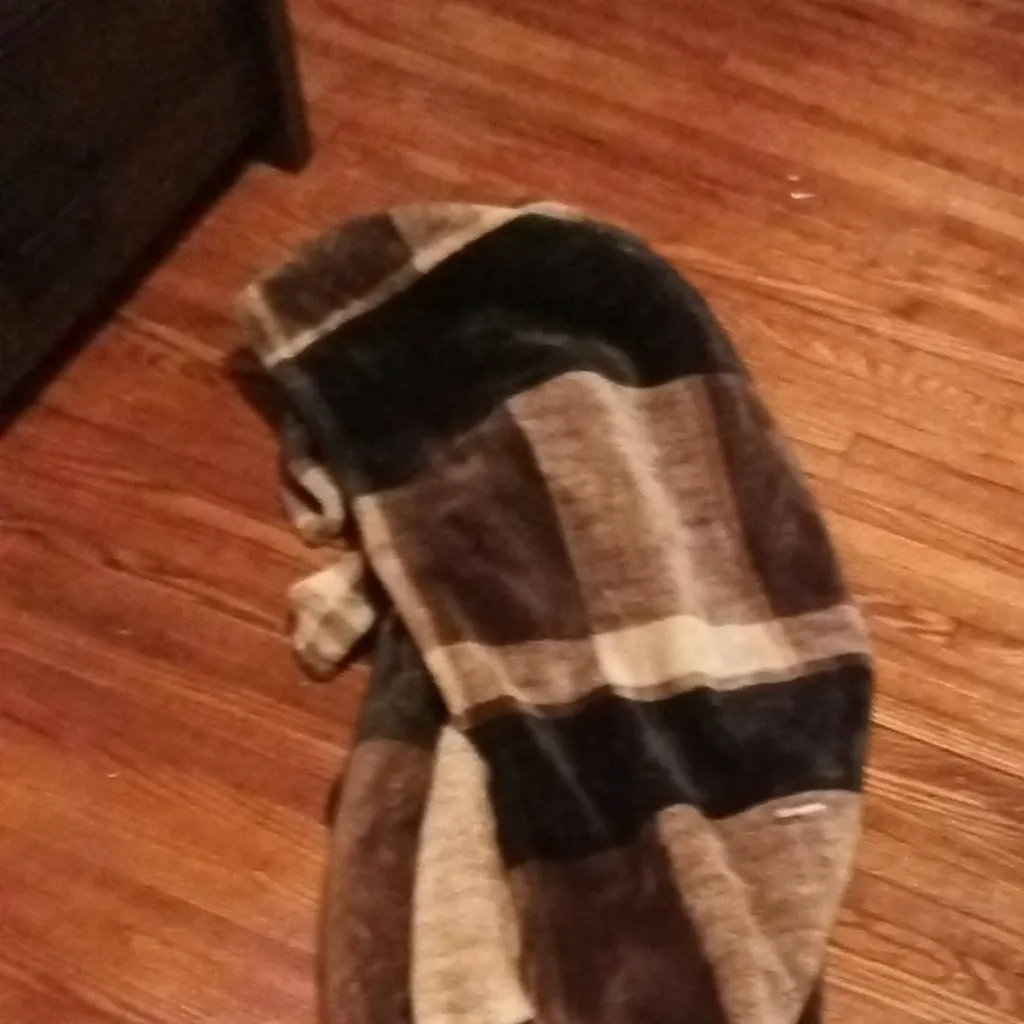 chat with ai character: furry blanket 2