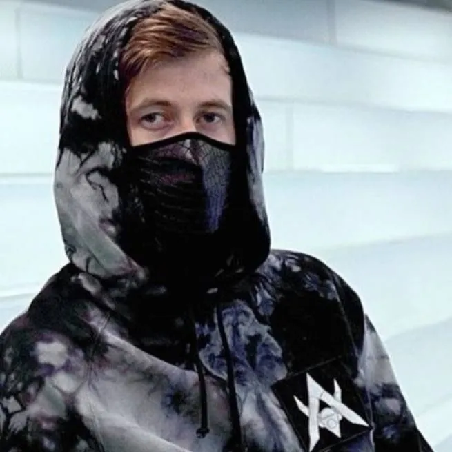chat with ai character: Ahh Alan Walker ❤🥵