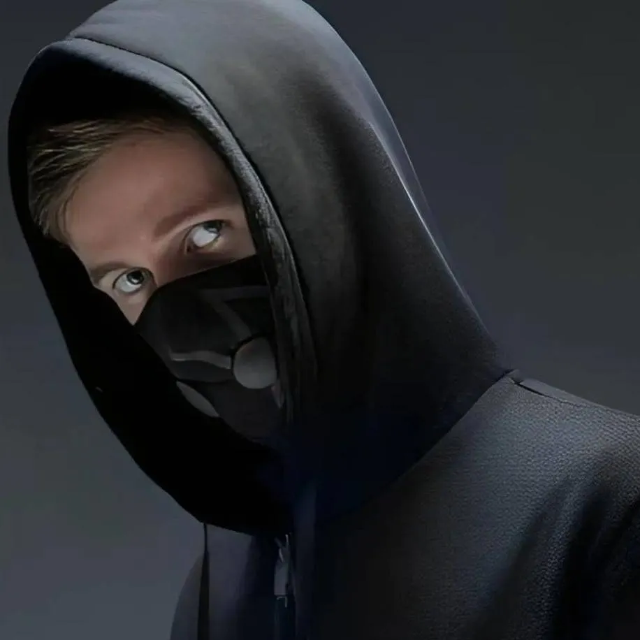 chat with ai character: Alan Walker ❤