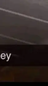 ai character: shelly background