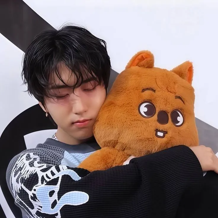 chat with ai character: Han~skz