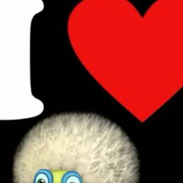 chat with ai character: dandidooxgrumpyre