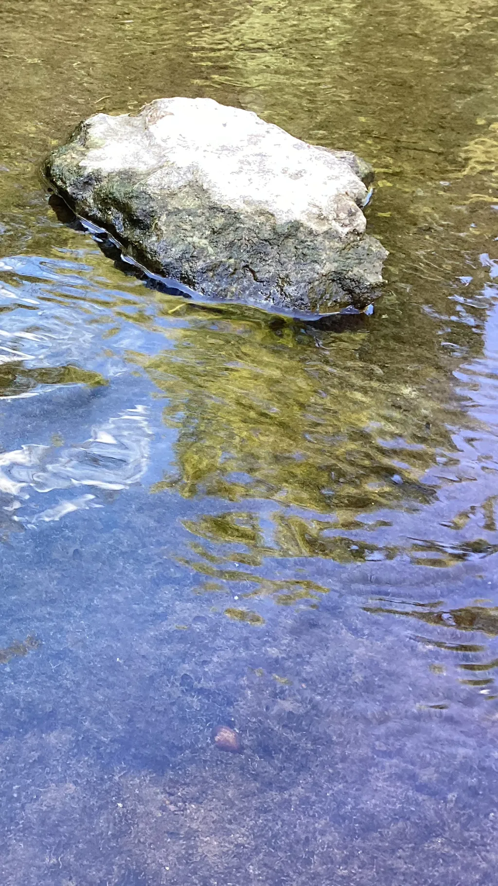 ai character: Alex tv background