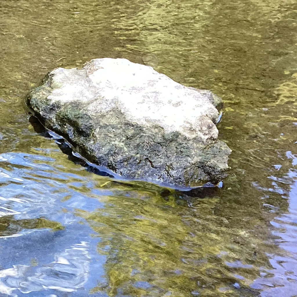 chat with ai character: Alex tv