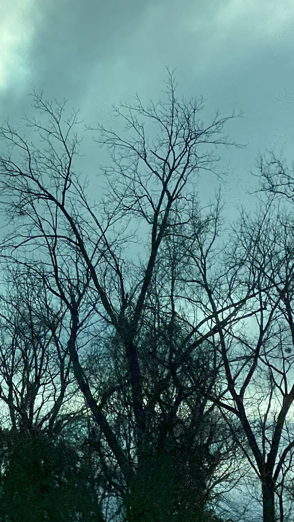 ai character: Furry infection background