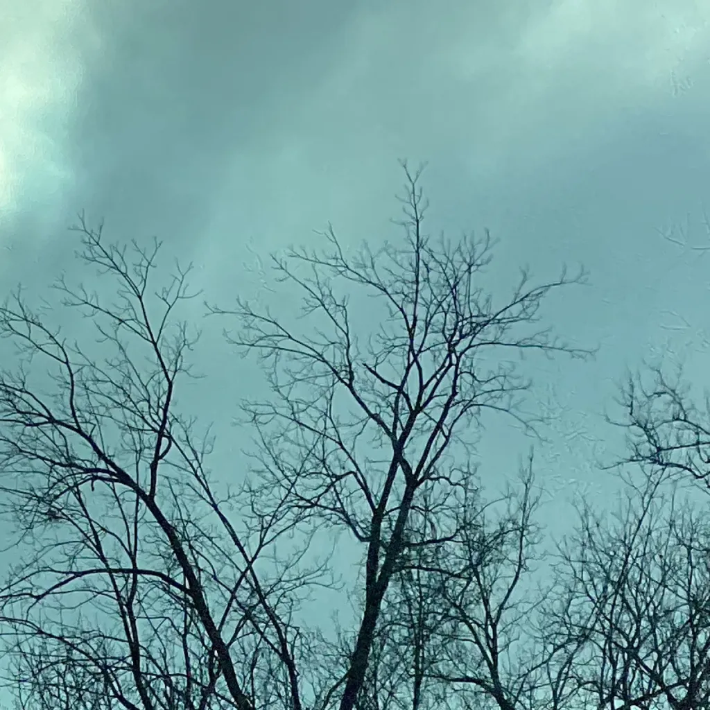 chat with ai character: Furry infection