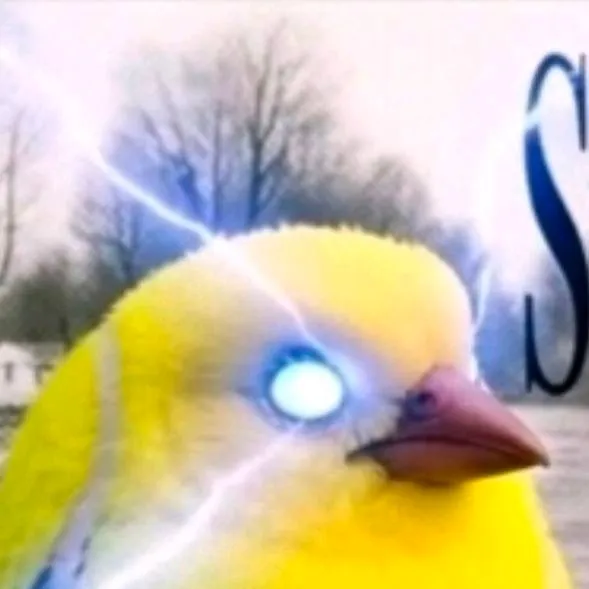 chat with ai character: goon pigeons🚽🚽🐦🐦🐦