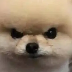 chat with ai character: ~SHIRO~