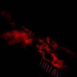 chat with ai character: SCP–939