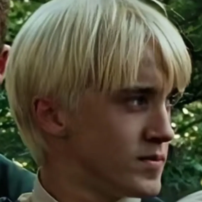 chat with ai character: Draco Malfoyyy