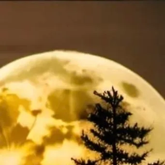 chat with ai character: BTS kitchen