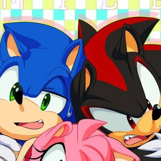 chat with ai character: sonic Shadow amy