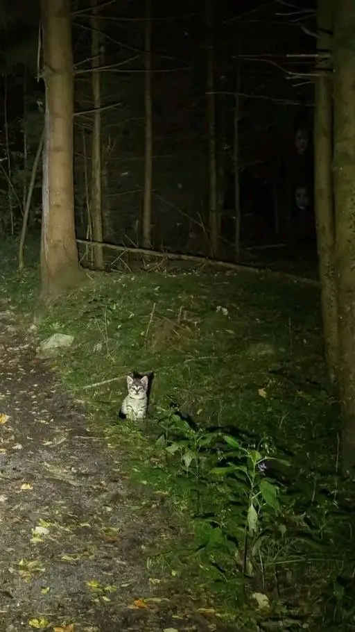 ai character: camping..? background