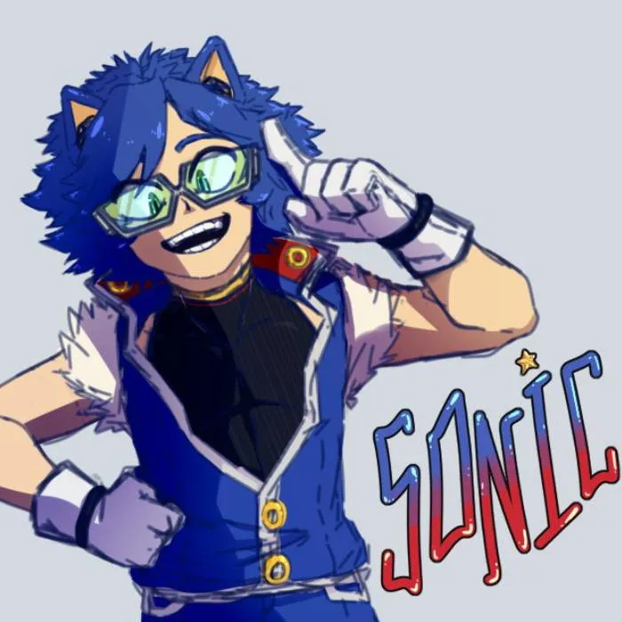 chat with ai character: MHA X SONIC 2