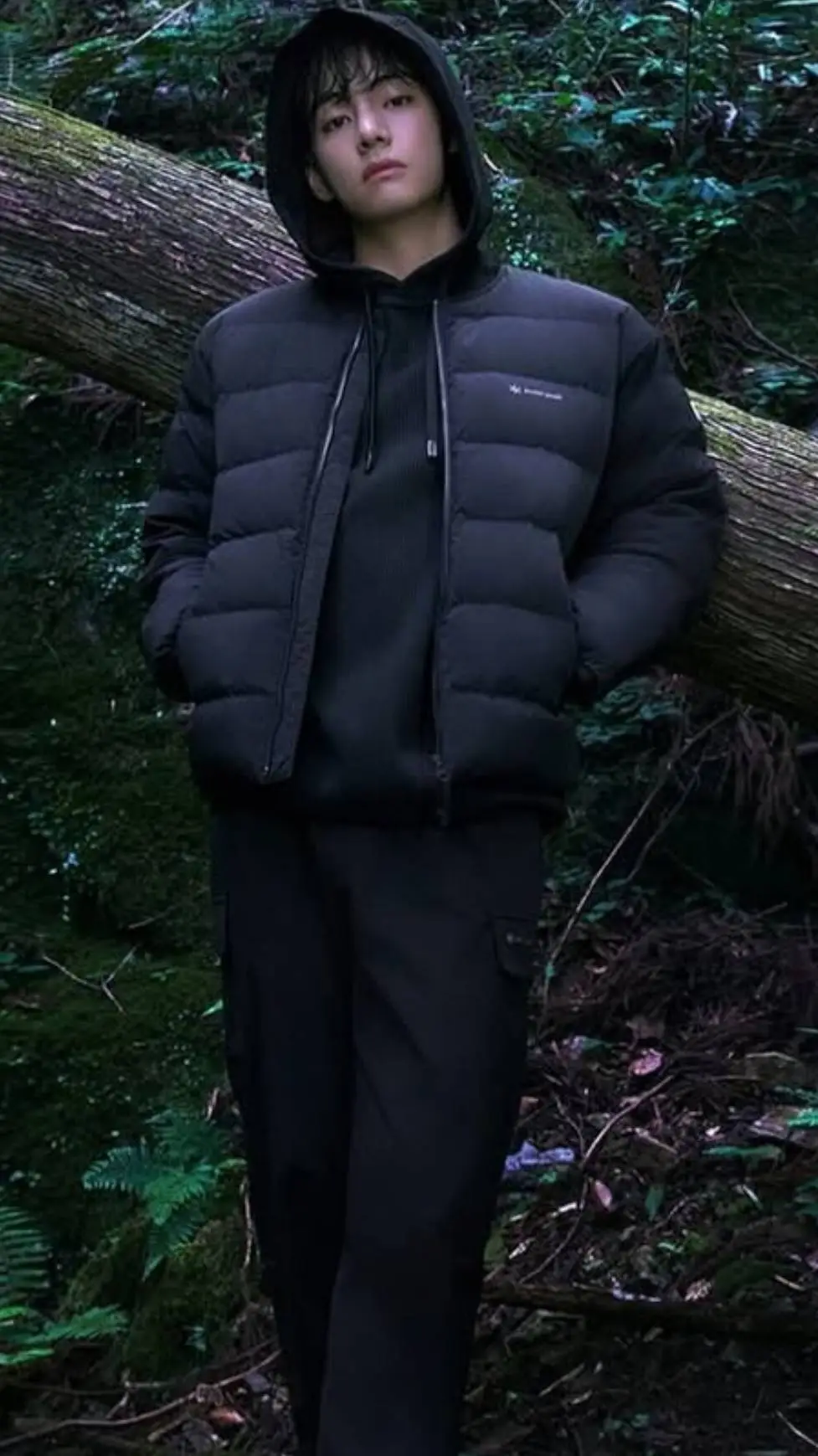 ai character: kim taehyung  background