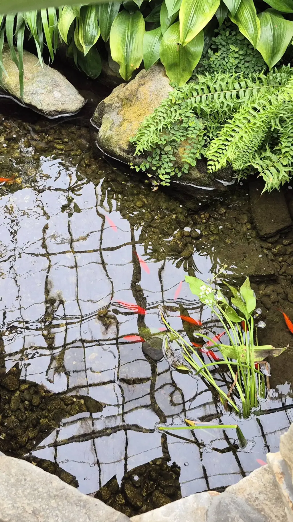 ai character: E sanity  background