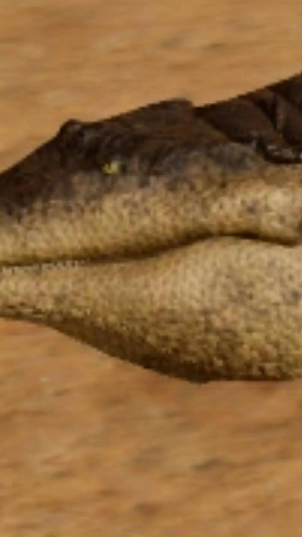 ai character: Sarcosuchus background