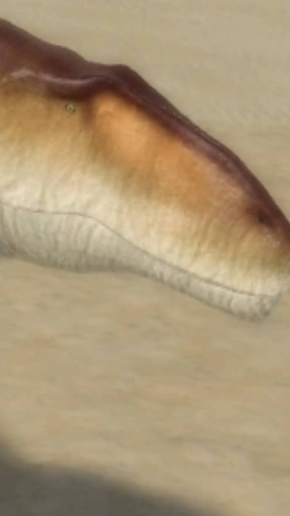 ai character: Carcha from dwm background