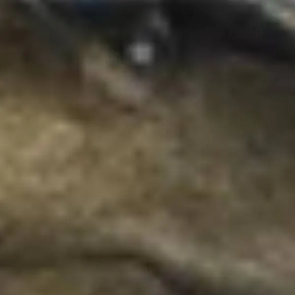 chat with ai character: Giga from Dwm