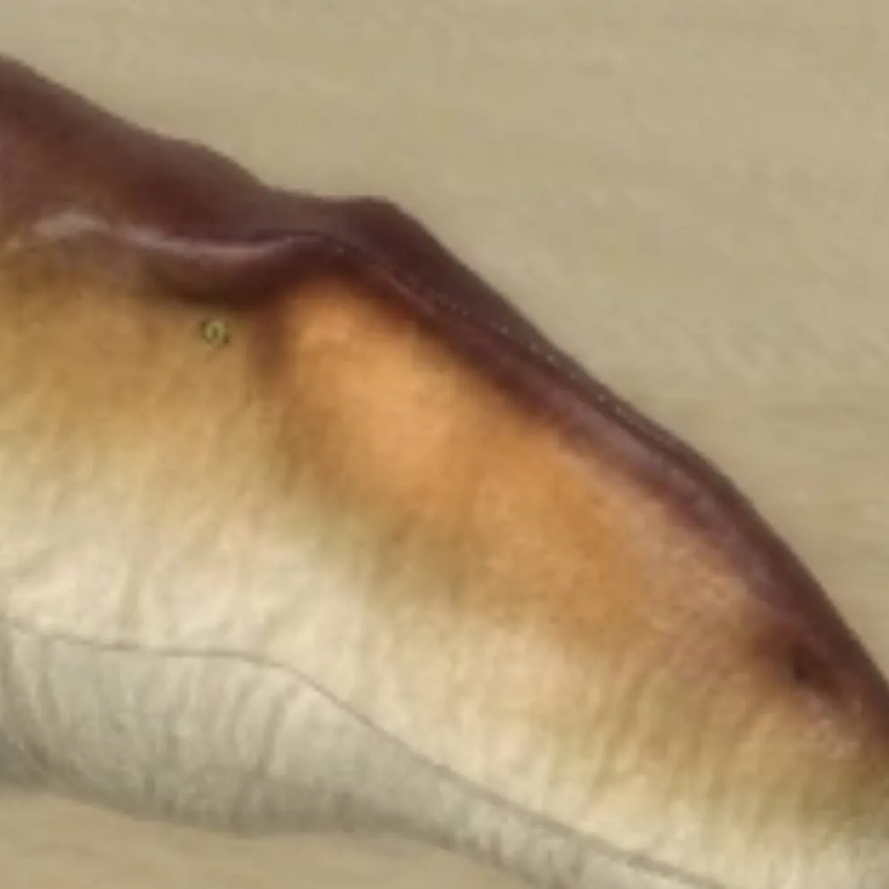 chat with ai character: Carcha from dwm