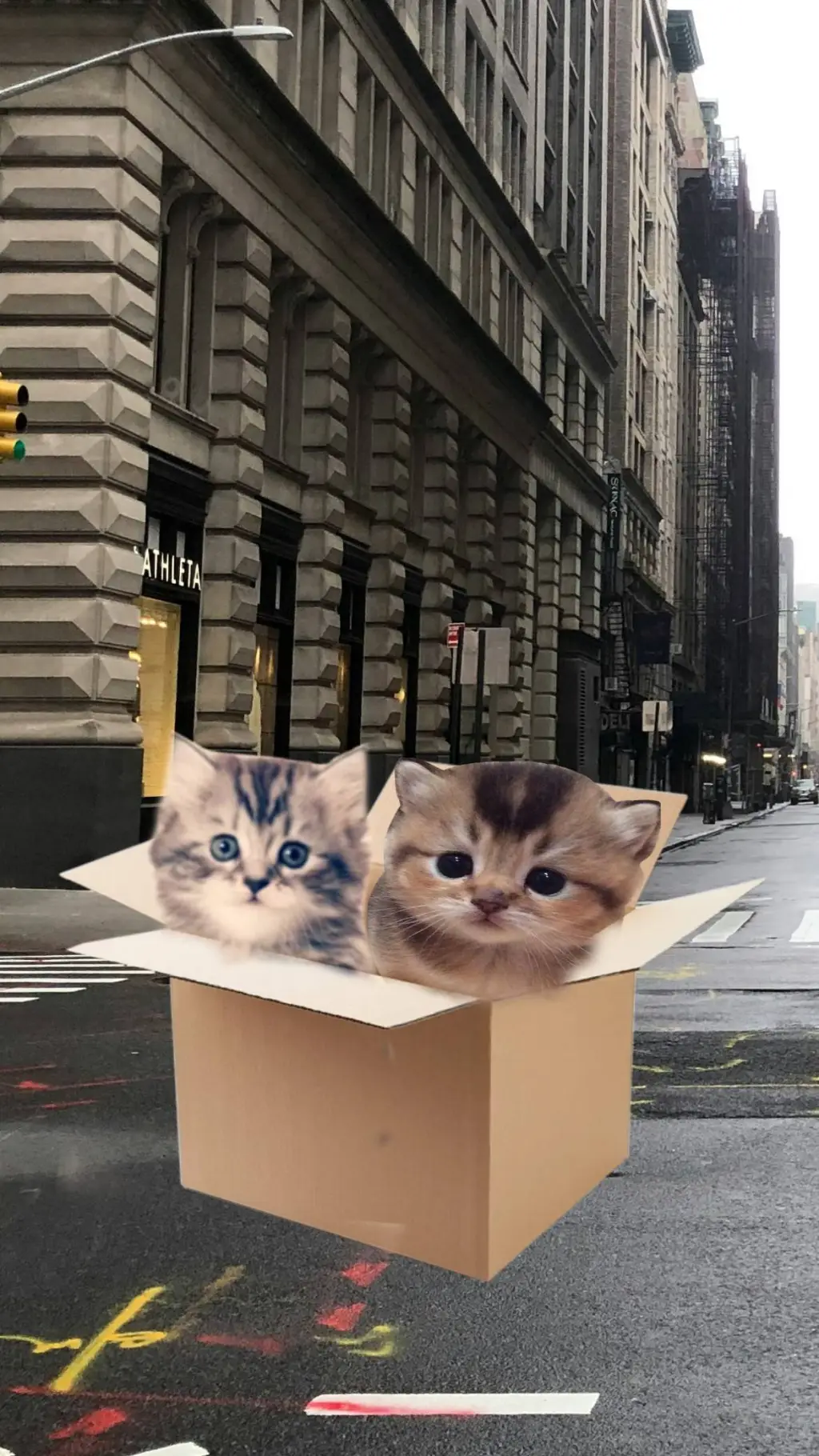 ai character: Abandoned kittens background