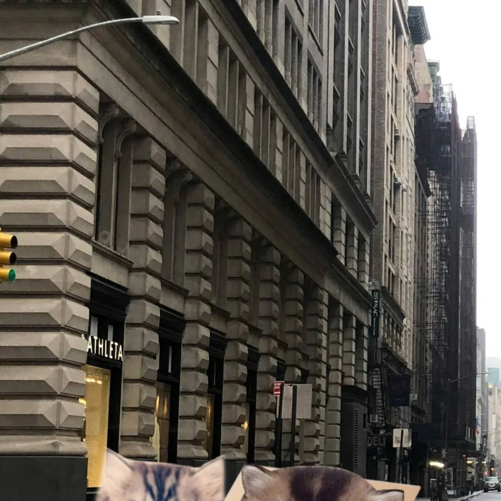 chat with ai character: Abandoned kittens