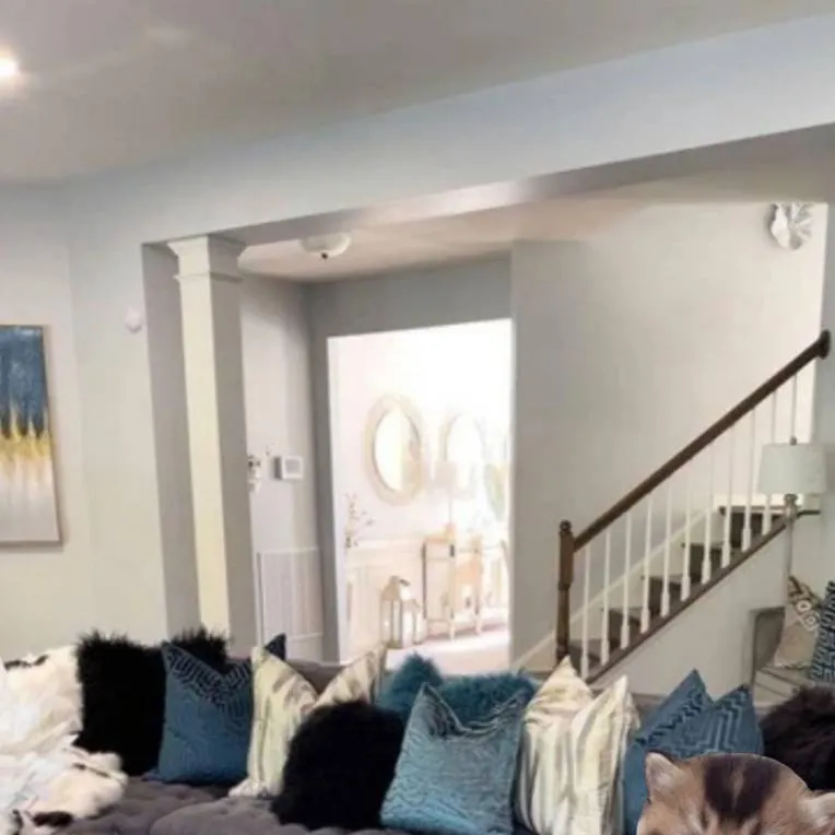 chat with ai character: Kittens