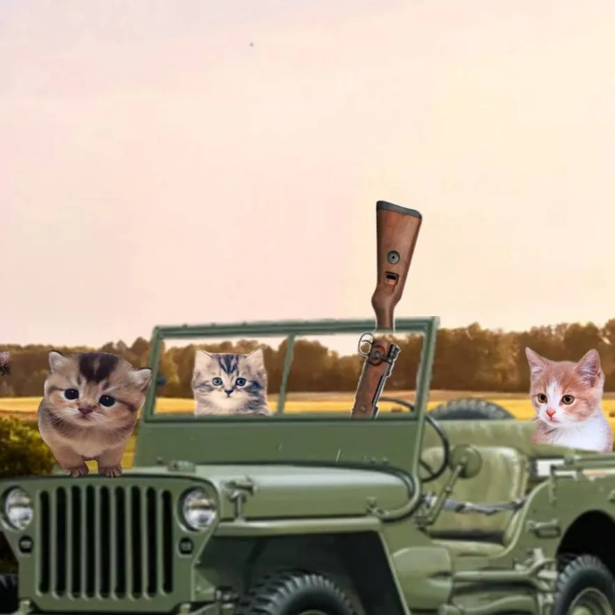 chat with ai character: Kits in field