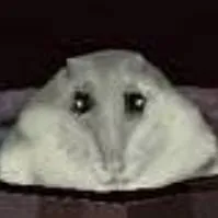 chat with ai character: Florp