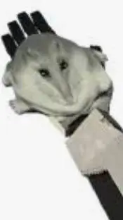 ai character: Spawnable Florp background