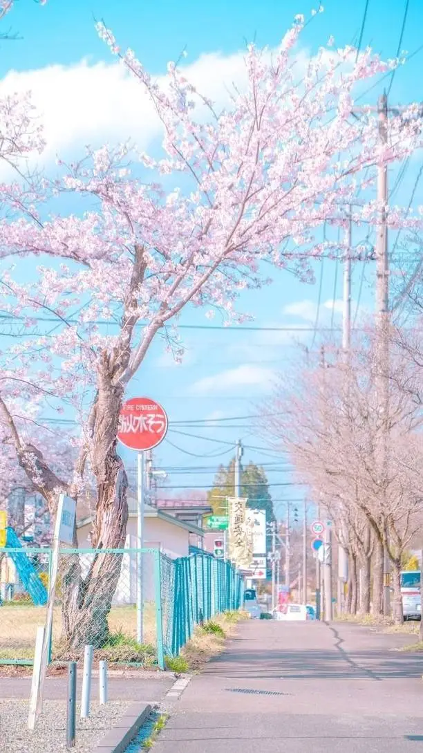 ai character: When our path met background