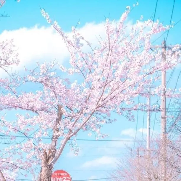 chat with ai character: When our path met