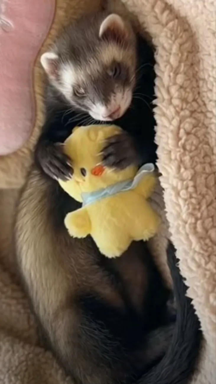 ai character: Hyulix <3🐥🥟 background