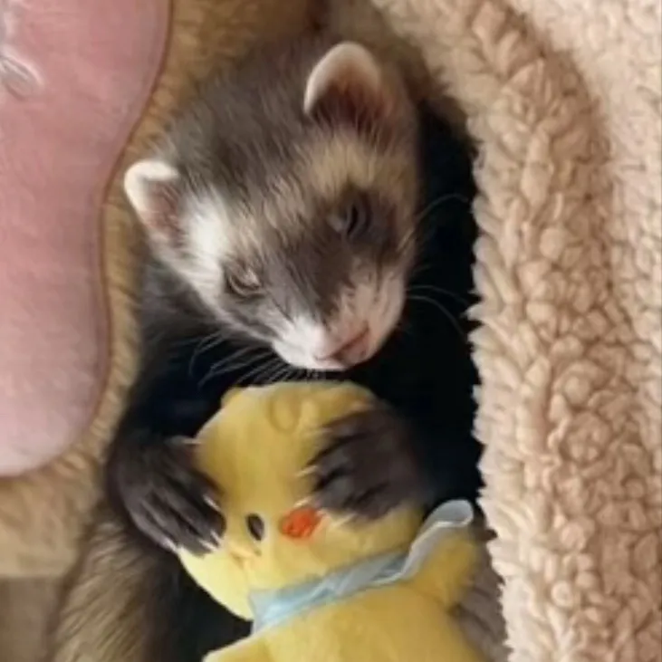 chat with ai character: Hyulix <3🐥🥟