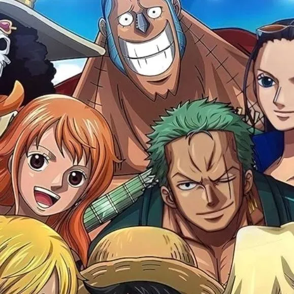 chat with ai character: Luffys Crew