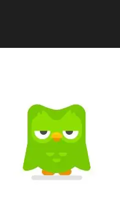 ai character: duo background