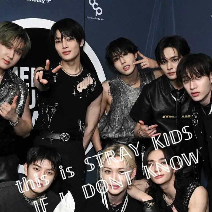 chat with ai character: bang chan