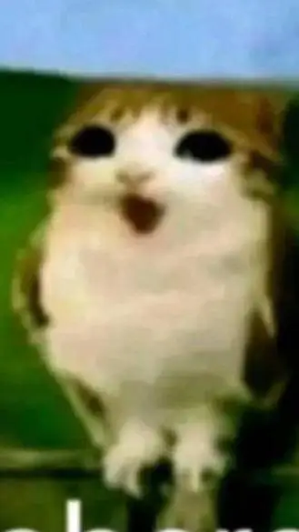 ai character: repite todo background