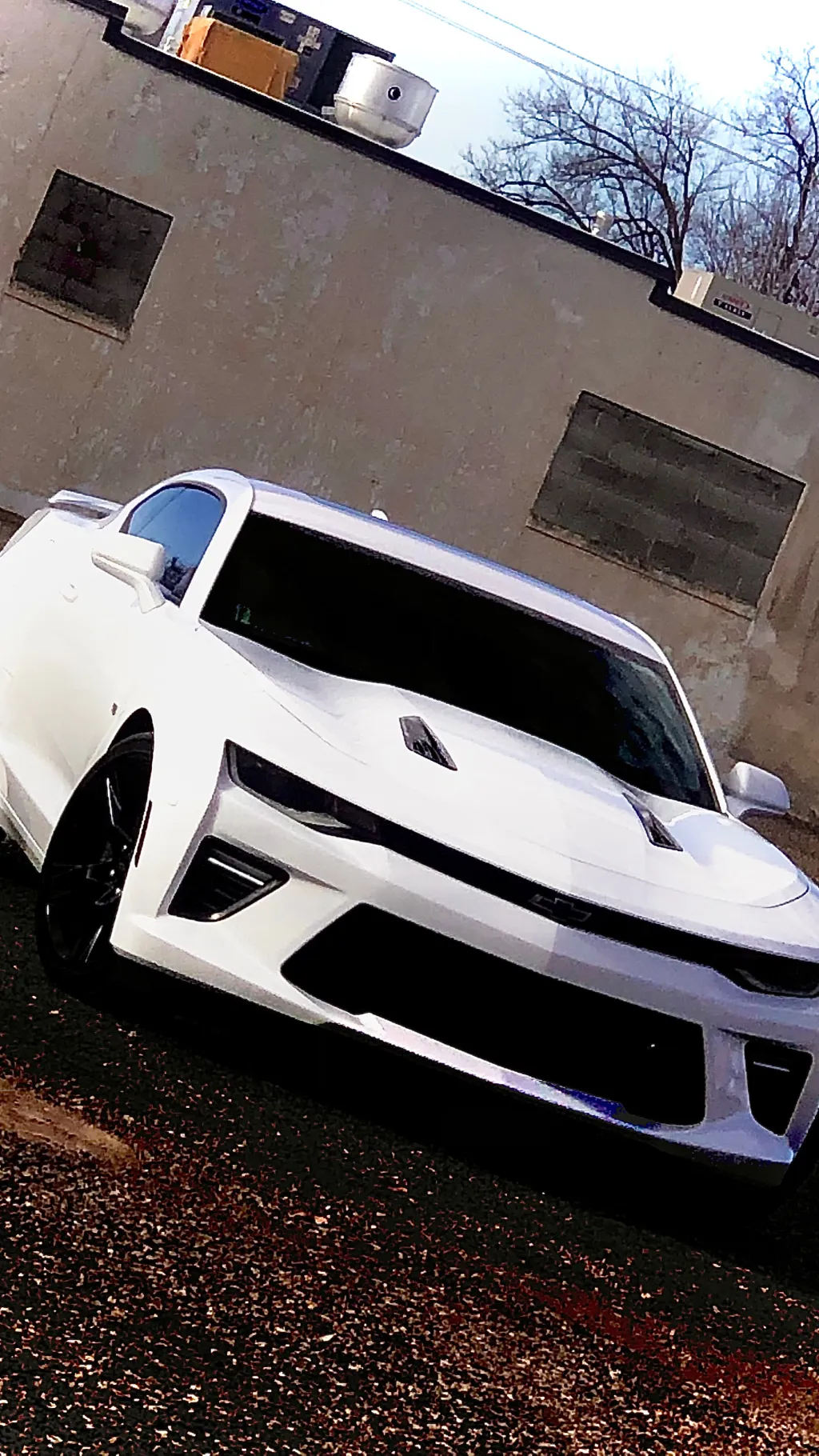 ai character: Camaro Vs Karen background