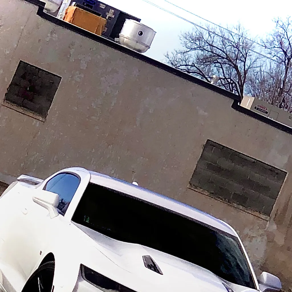 chat with ai character: Camaro Vs Karen