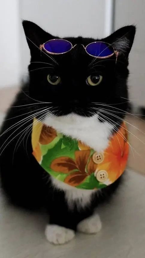 ai character: Uni background