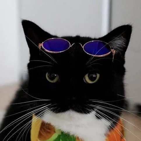 chat with ai character: Uni