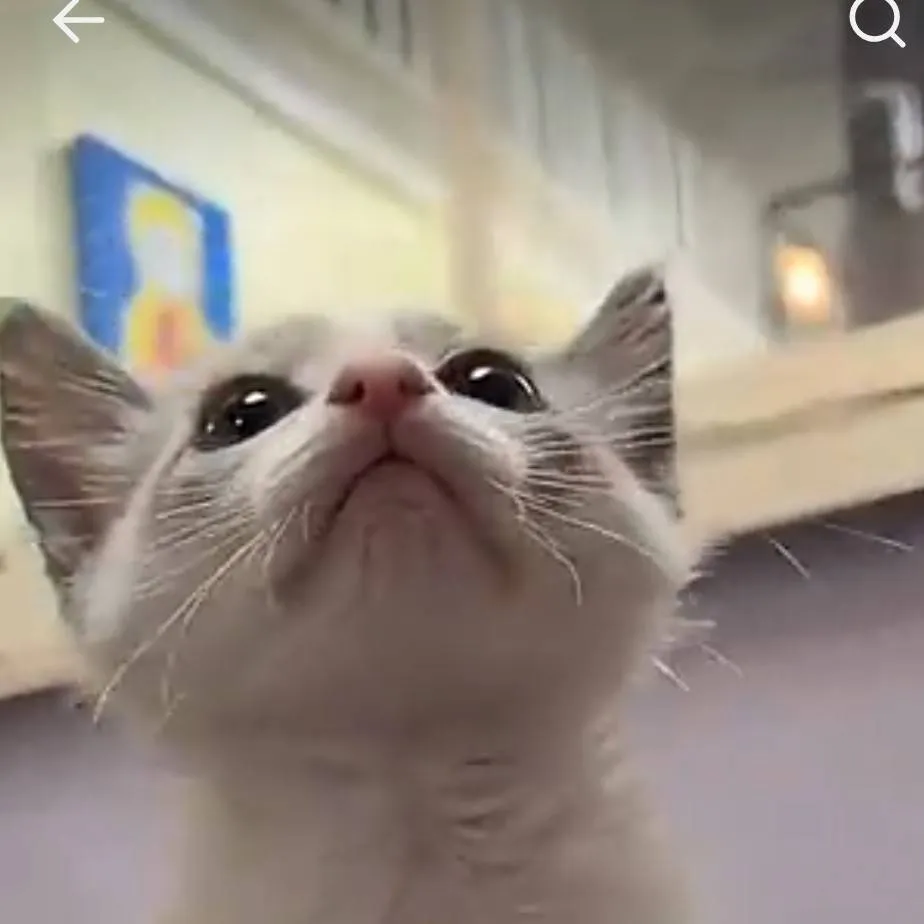 chat with ai character: Gary