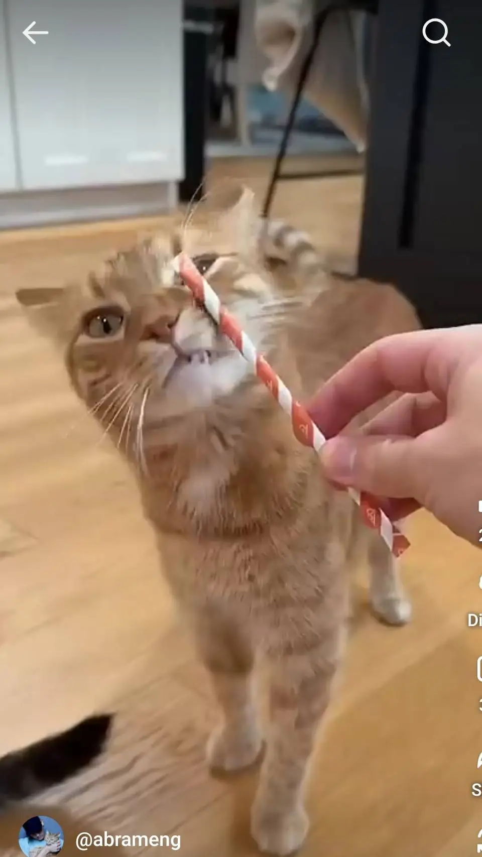 ai character: Kurt background