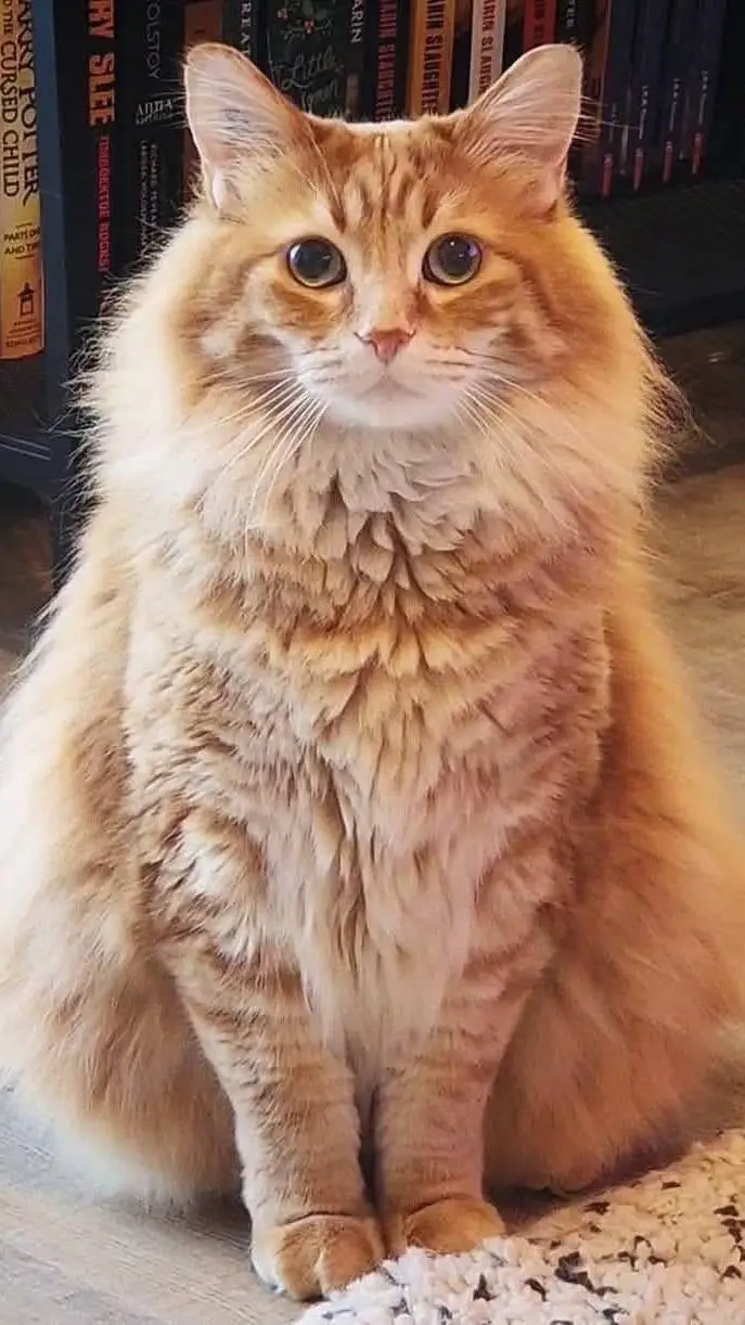 ai character: Walter background