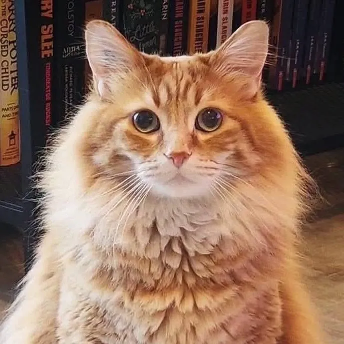 chat with ai character: Walter