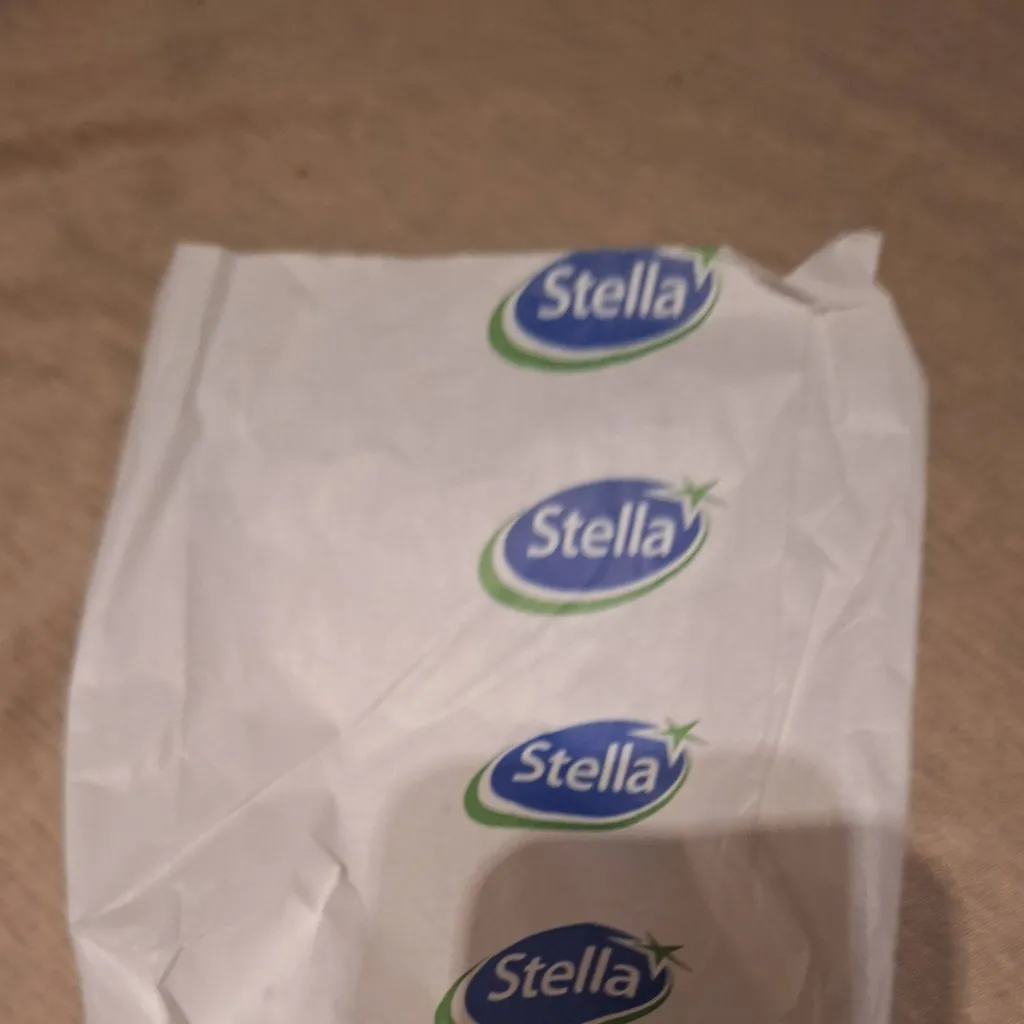 chat with ai character: stella