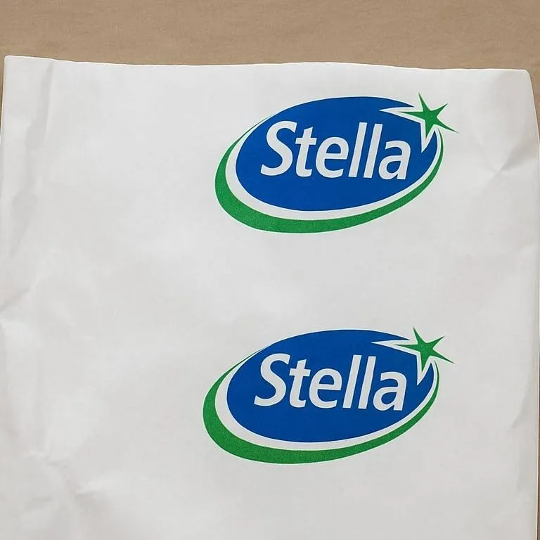 chat with ai character: stella