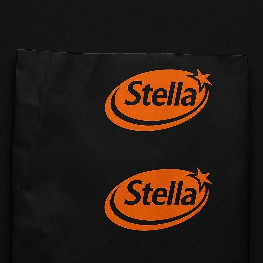 chat with ai character: stella reprint